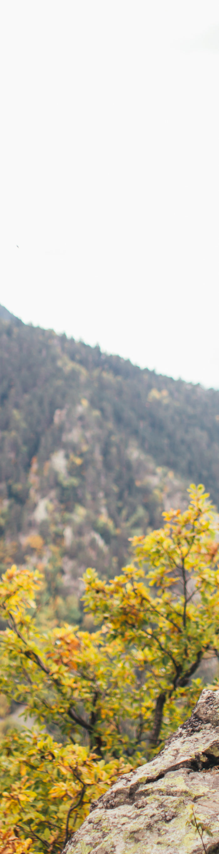 <h1>Technical Stuff</h1>